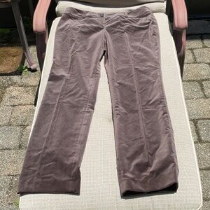 Ann Taylor Lindsay Brown Velvet Pants, Size 10 Long